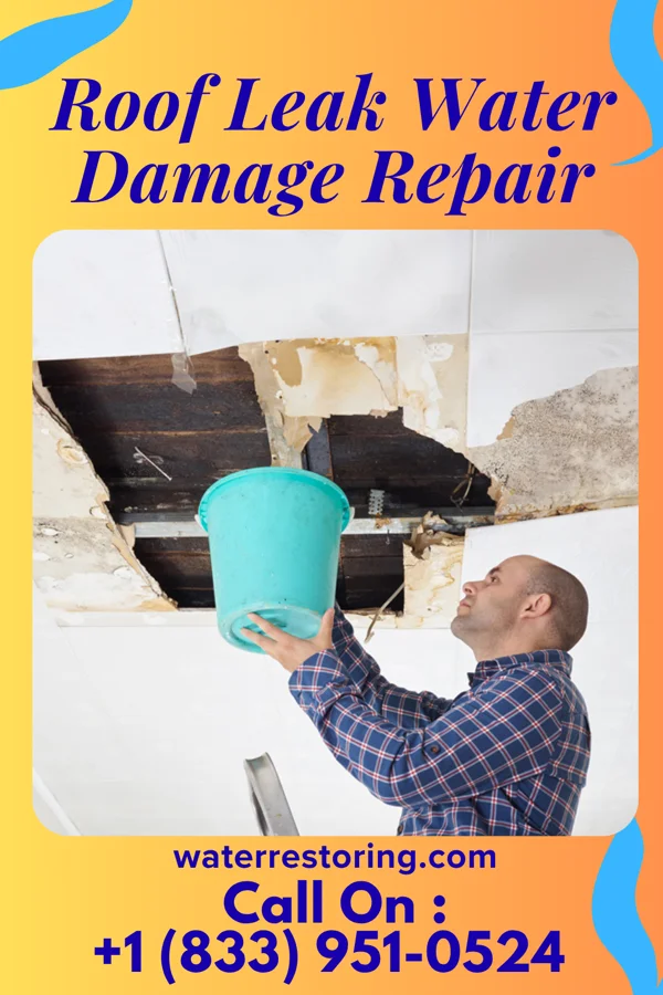 Roof Leak Water Damage Repair in Vineyards, FL